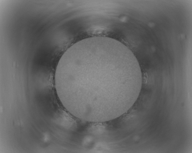 X0000062170820200512231624