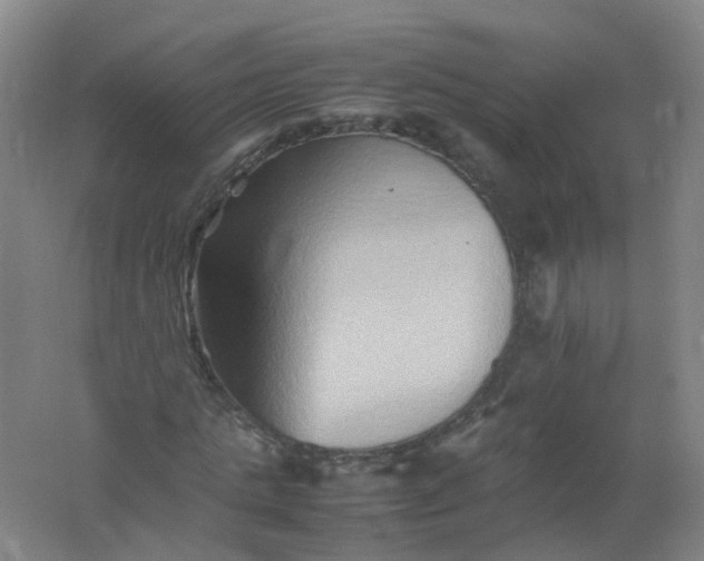 X0000062170821200512231624