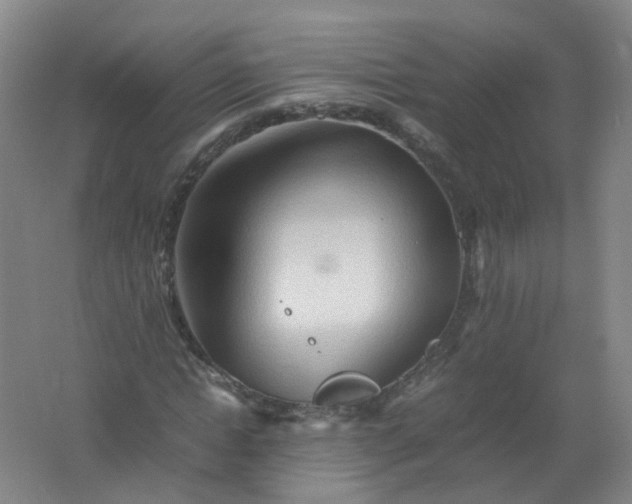 X0000062170822200512231624