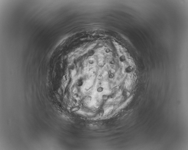 X0000062170823200512231624