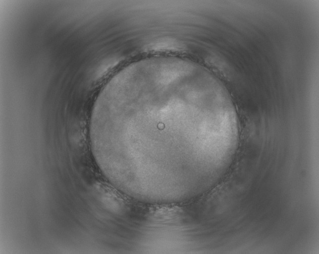 X0000062170824200512231624