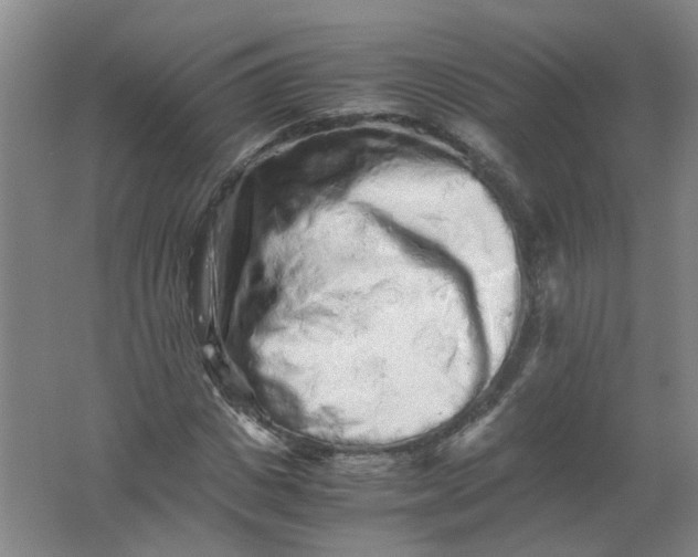 X0000062170825200512231624