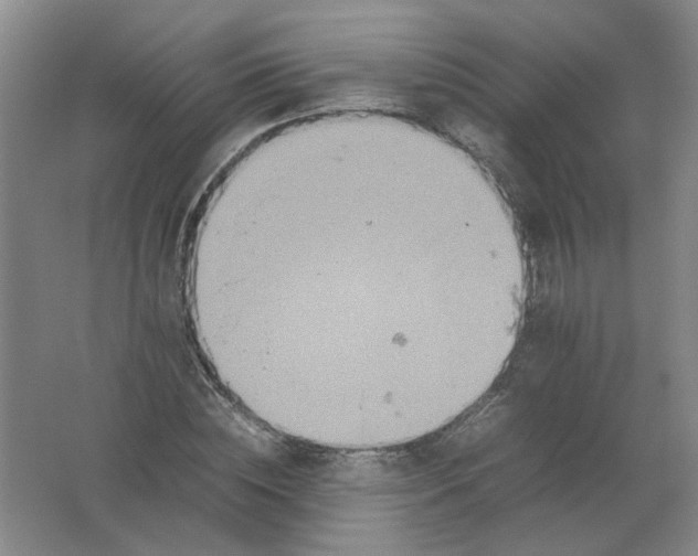 X0000062170828200512231624