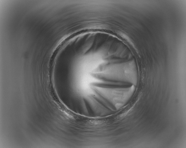 X0000062170829200512231624