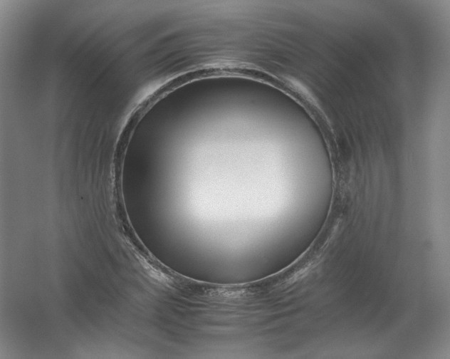 X0000062170831200512231624