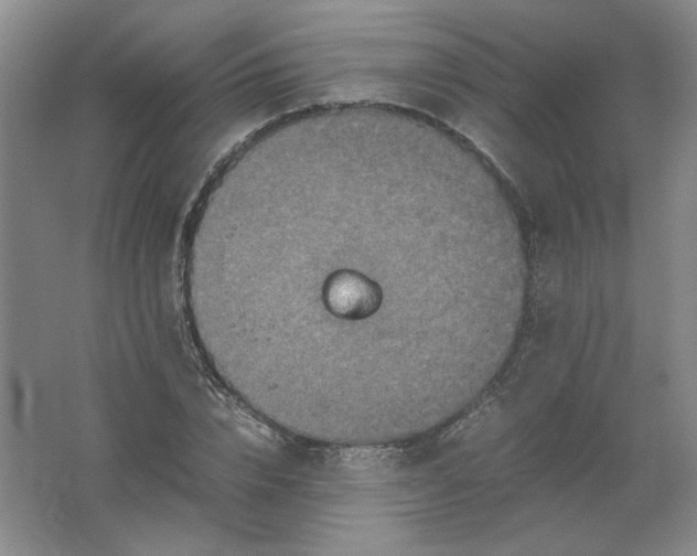 X0000062170832200512231624