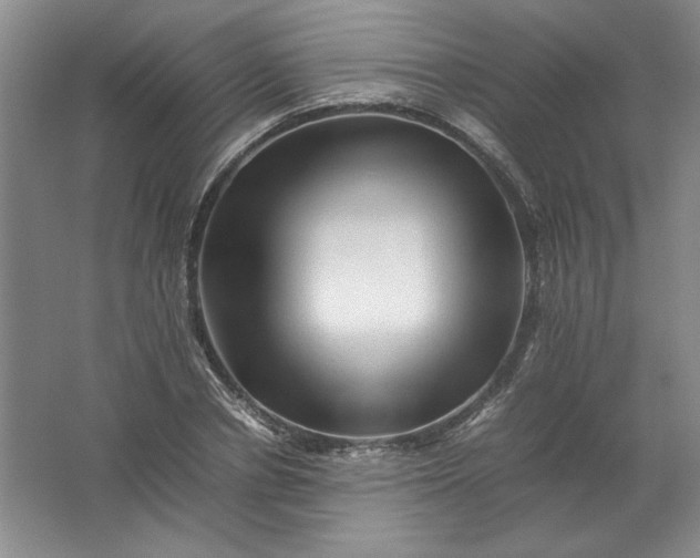 X0000062170834200512231624