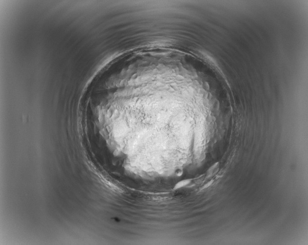 X0000062170835200512231624