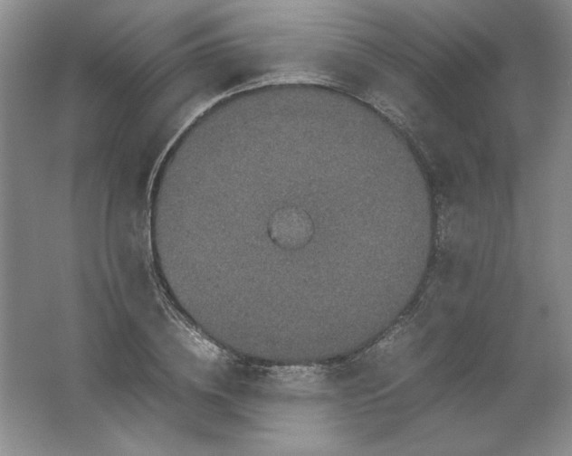 X0000062170836200512231624