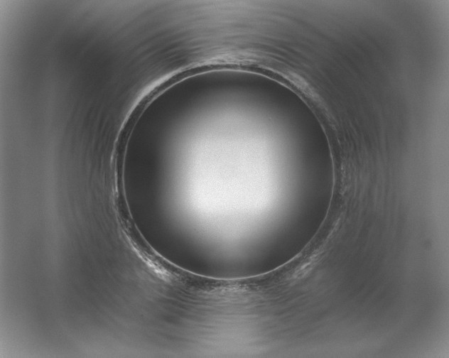 X0000062170838200512231624