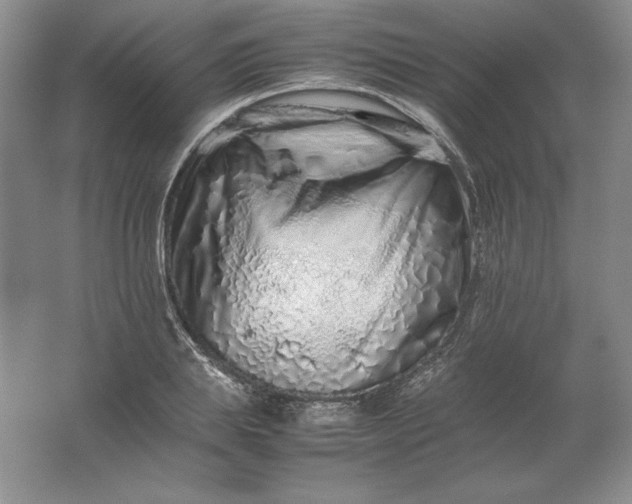 X0000062170839200512231624