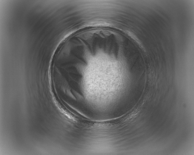 X0000062170840200512231624