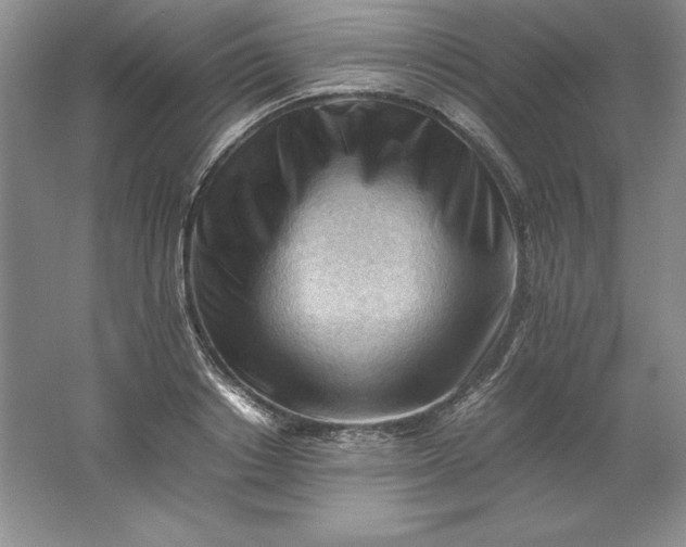 X0000062170842200512231624