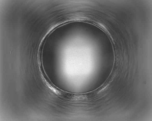 X0000062170843200512231624