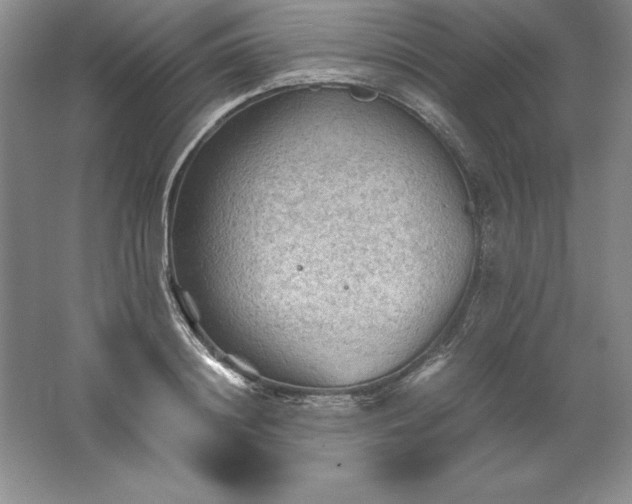 X0000062170844200512231624