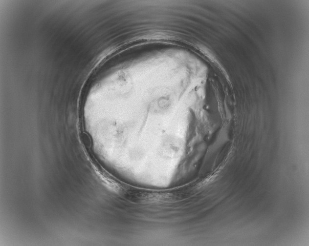 X0000062170845200512231624