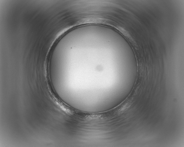 X0000062170846200512231624