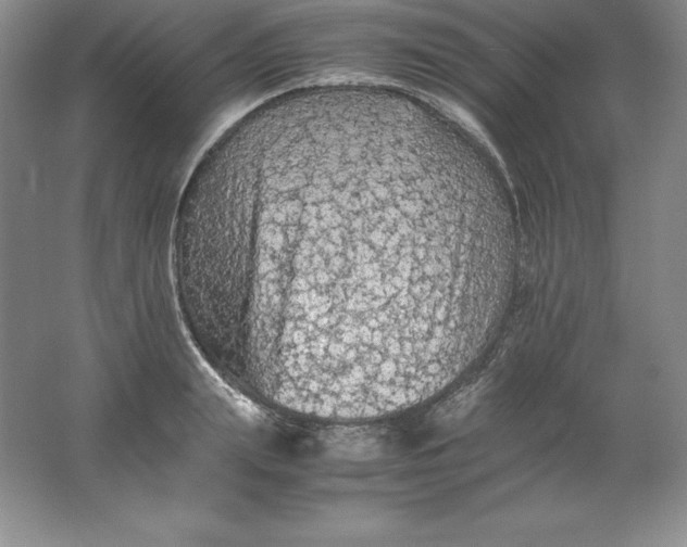 X0000062170847200512231624