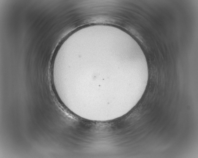 X0000062170848200512231624