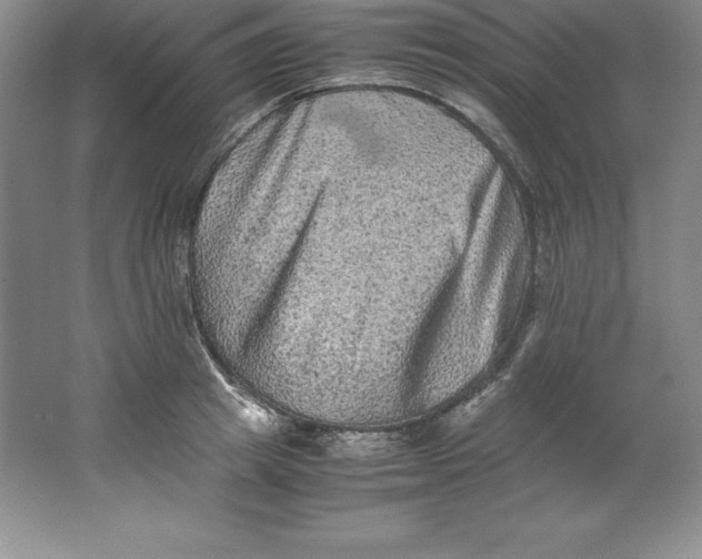 X0000062170849200512231624