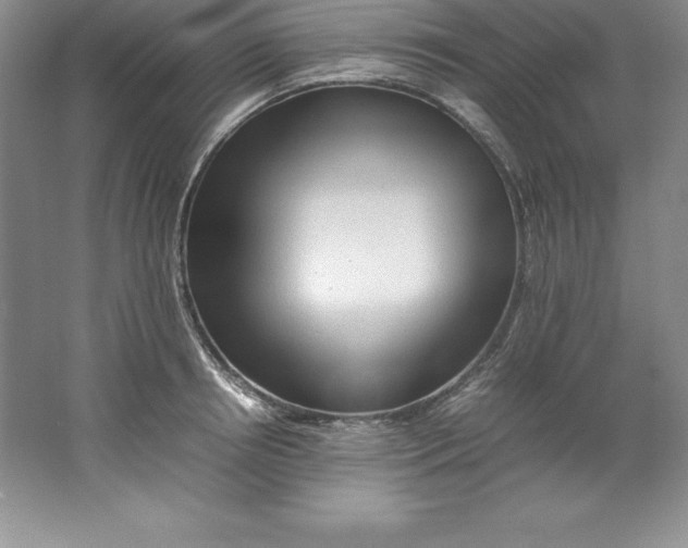 X0000062170850200512231624