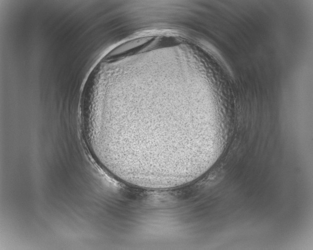 X0000062170852200512231624