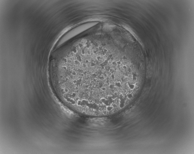 X0000062170853200512231624