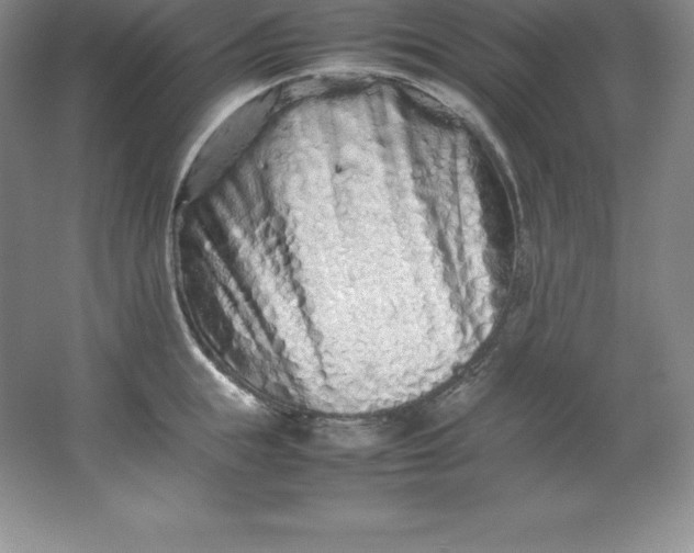 X0000062170855200512231624