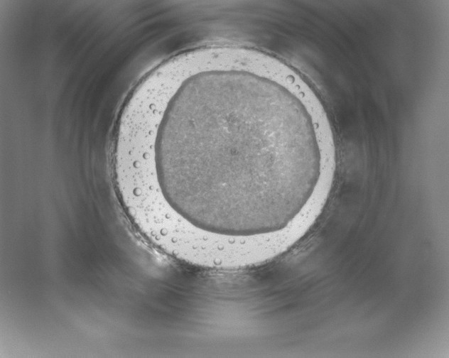 X0000062170856200512231624