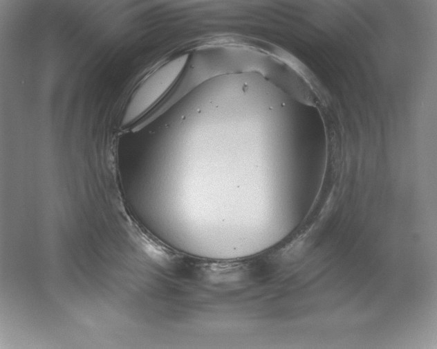 X0000062170857200512231624