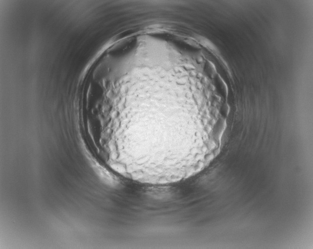 X0000062170859200512231624