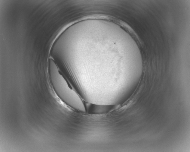 X0000062170860200512231624