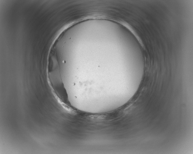 X0000062170861200512231624