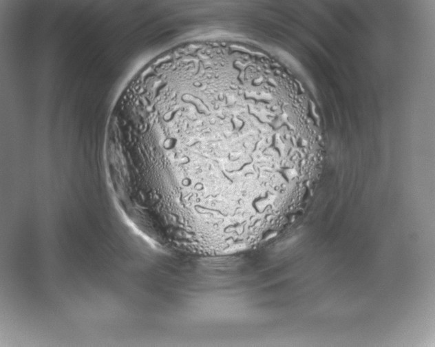 X0000062170863200512231624