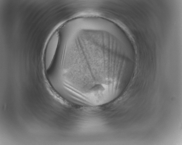 X0000062170864200512231624