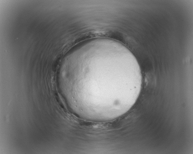 X0000062170867200512231623