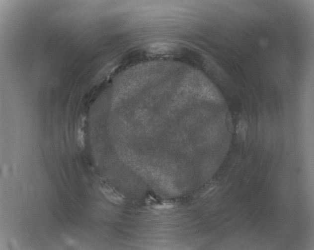 X0000062170868200512231623