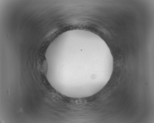 X0000062170869200512231623