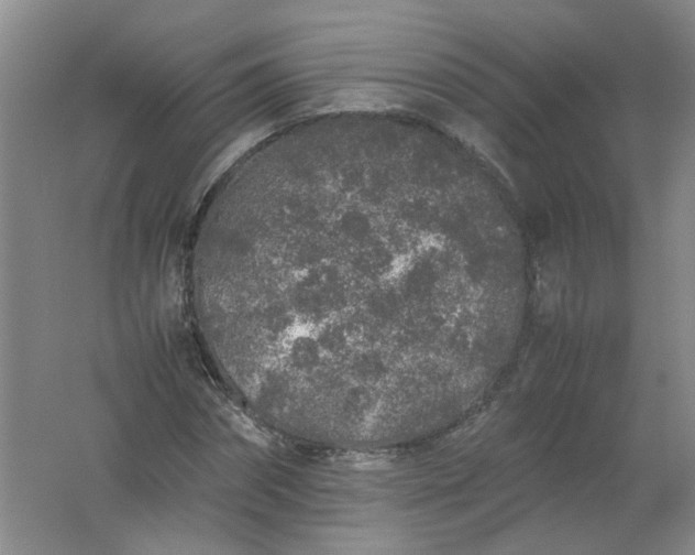 X0000062170874200512231623