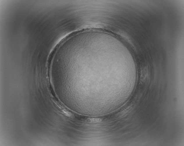 X0000062170878200512231623