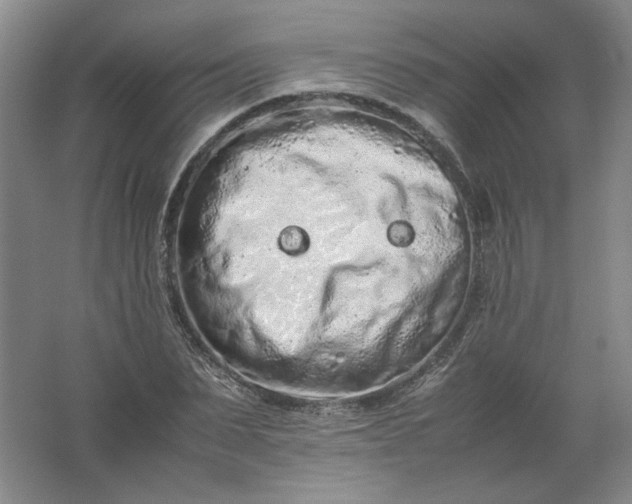 X0000062170879200512231623