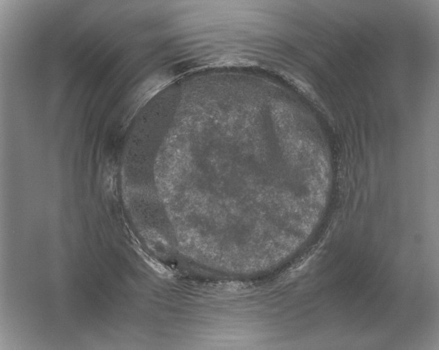 X0000062170881200512231623