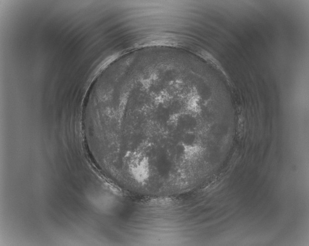 X0000062170882200512231623