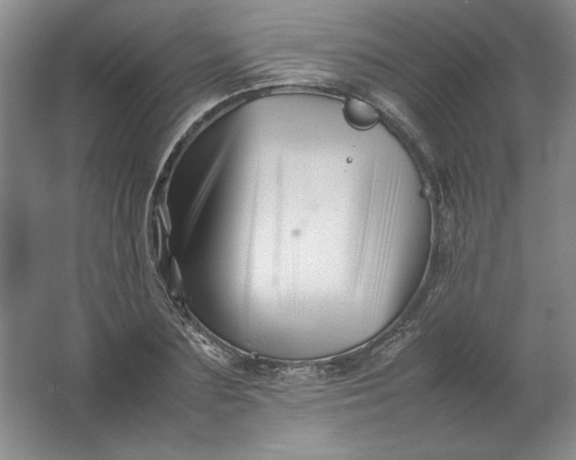 X0000062170883200512231623