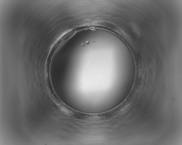 X0000062170885200512231623