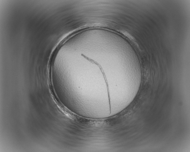 X0000062170886200512231623