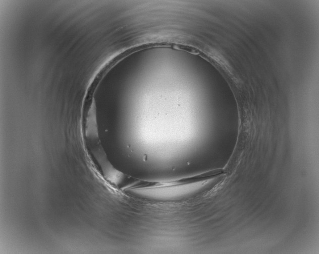 X0000062170888200512231623