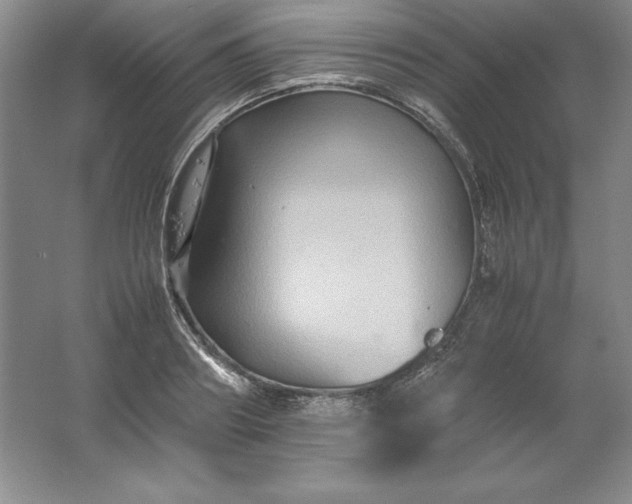 X0000062170890200512231623