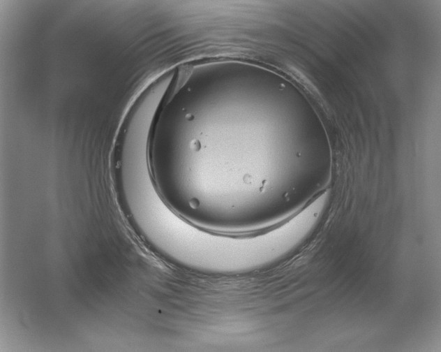 X0000062170891200512231623