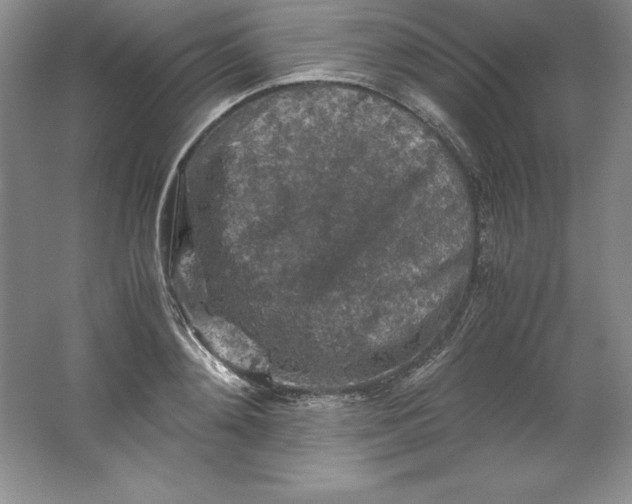 X0000062170892200512231623